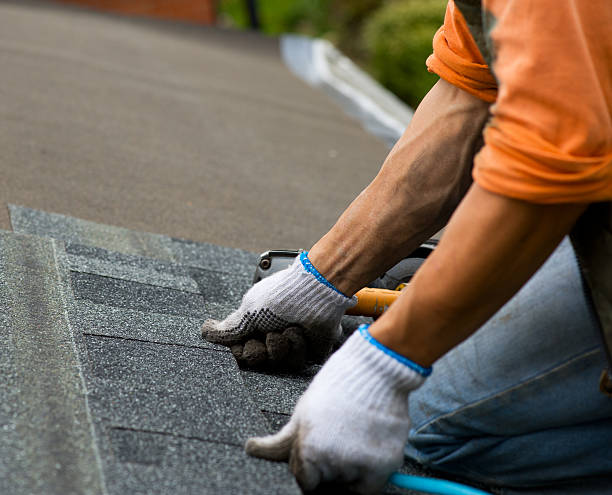 Best Flat Roof Repair Services  in Blountstown, FL